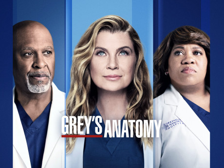 Watch Grey S Anatomy Season Prime